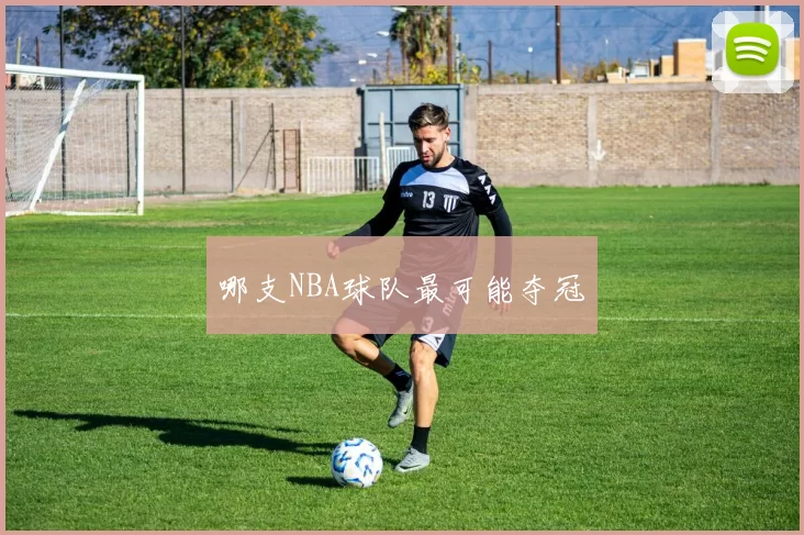哪支NBA球队最可能夺冠