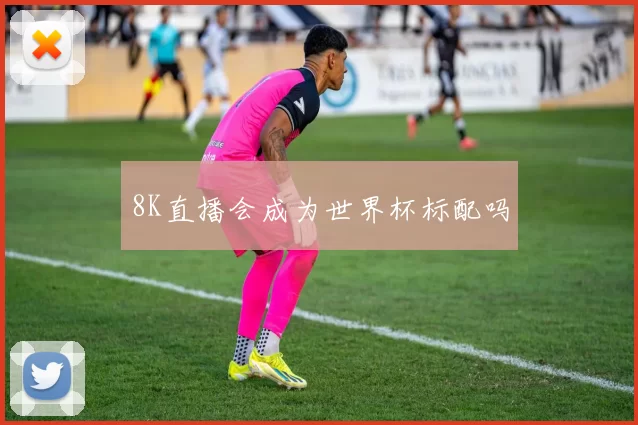 8K直播会成为世界杯标配吗